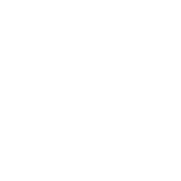 ce logo Sun Valley